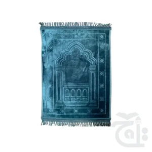 import placeholder for 12025